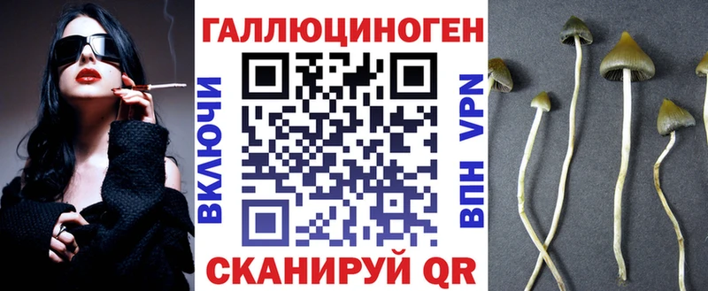 Галлюциногенные грибы прущие грибы  Венёв 